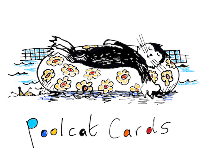 Poolcat Cards