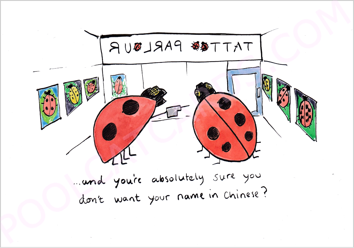 Ladybirds