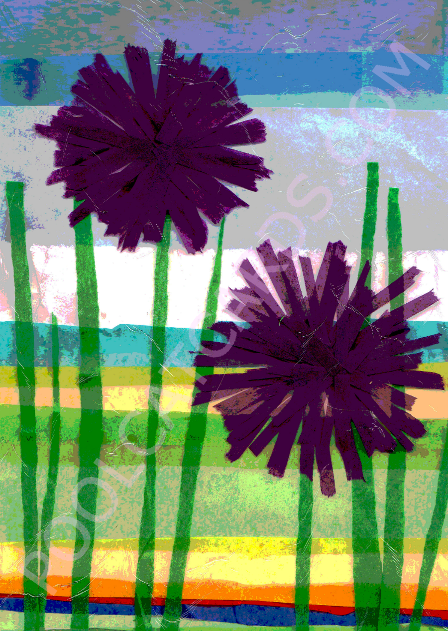 Alium