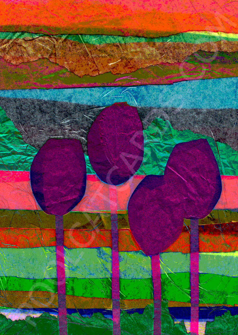 Tulips Landscape
