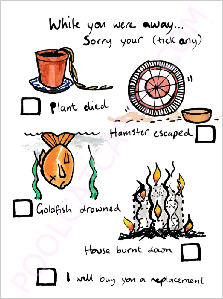 While You Were Away…